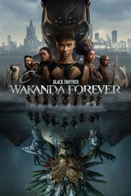 Black Panther: Wakanda Forever (2022) stream deutsch