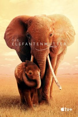 Die Elefantenmutter (2019)