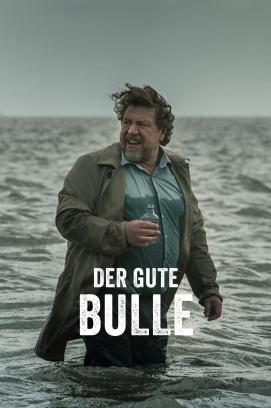 Der gute Bulle - Staffel 1 (2017)